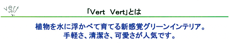 �uVert Vert�v�Ƃ͐A���𐅂ɕ����ׂĈ�Ă�V���o�O���[���C���e���A�B��y���A�������A�������l�C�ł��B